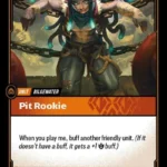 Pit Rookie