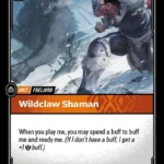 Wildclaw Shaman