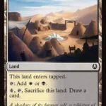 Misty Palms Oasis