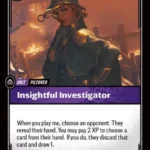Insightful Investigator