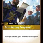 Scrutinizing Sergeant