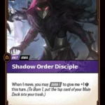 Shadow Order Disciple